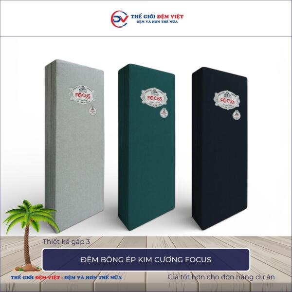 Đệm bông ép Kim Cương Focus 4